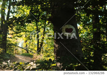 A tree with a painted heart trail mark in the forest, guiding hikers through Fruska Gora nature trails 132068286