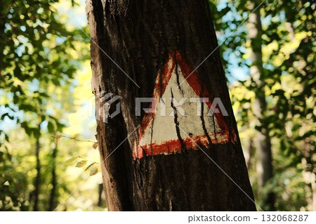 A red and white triangle painted on a tree trunk in the forest, serving as a hiking trail marker in the woods. Fruska Gora - National park in Serbia 132068287