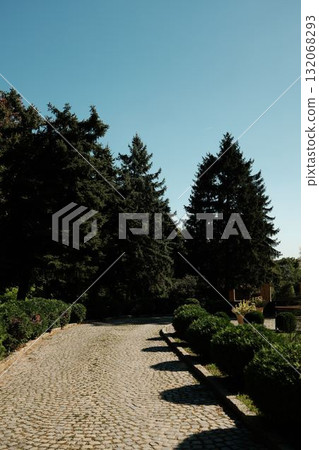 Stone paved path lined with green bushes and tall trees in Fruska gora on a sunny day. Serbia country 132068293