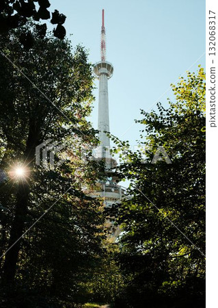 TV tower Iriski Venac on Fruska Gora seen through forest trees with sunlight shining, symbol of history and war damage in Serbia TV tower Iriski Venac on Fruska Gora seen through forest trees with sunlight shining, symbol of history and war damage in Serbia 132068317