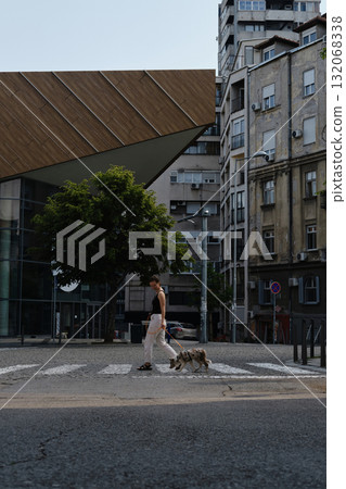 A woman walks with her red merle border collie puppy on a leash across a city crosswalk. Pet friendly Belgrade 132068338