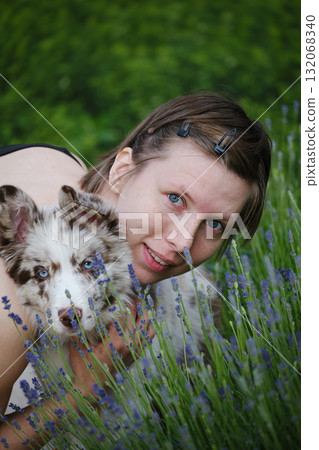 Young woman with blue eyes and her red merle border collie puppy close together in lavender flowers, both looking at the camera Young woman with blue eyes and her red merle border collie puppy close together in lavender flowers, both looking at the camera 132068340