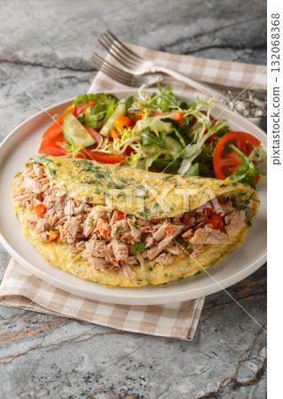 Omelet with canned tuna fish served with fresh vegetables salad closeup on the plate. Vertical Omelet with canned tuna fish served with fresh vegetables salad closeup on the plate. Vertical 132068368