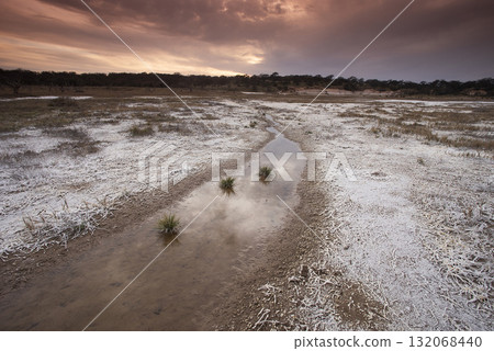 Saltpeter on the floor of a lagoon in a semi desert environment, La Pampa province, Patagonia, Argentina. 132068440