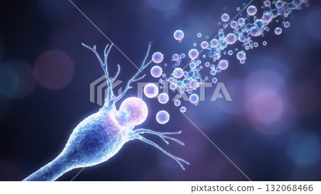 Synaptic Transmission Process with Glowing Neurotransmitters Synaptic Transmission Process with Glowing Neurotransmitters 132068466