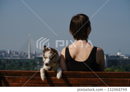 Woman with red merle border collie puppy on a bench in Kalemegdan Fortress, Belgrade, with city view and Ada Bridge in background. Rear view. Travel with pet concept Woman with red merle border collie puppy on a bench in Kalemegdan Fortress, Belgrade, with city view and Ada Bridge in background. Rear view. Travel with pet concept 132068749