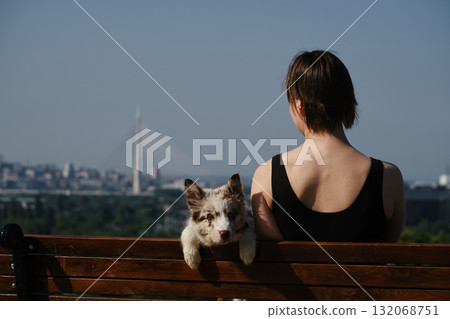 Woman with red merle border collie puppy on a bench in Kalemegdan Fortress, Belgrade, with city view and Ada Bridge in background. Rear view. Travel with pet concept 132068751