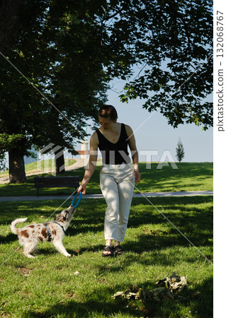 Woman playing tug-of-war with her red merle Border Collie puppy using a toy ring in the park at Kalemegdan Fortress Woman playing tug-of-war with her red merle Border Collie puppy using a toy ring in the park at Kalemegdan Fortress 132068767