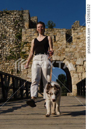 Smiling young woman walks with red merle Border Collie puppy on leash near fortress wall at Kalemegdan, Belgrade. Front view portrait in motion. Travel with dog concept Smiling young woman walks with red merle Border Collie puppy on leash near fortress wall at Kalemegdan, Belgrade. Front view portrait in motion. Travel with dog concept 132068832