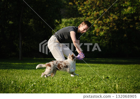 Young woman plays tug of war with red merle Border Collie puppy standing on grass, fun training and playful exercise 132068905