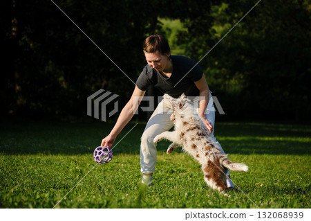 Woman plays fetch with red merle Border Collie puppy in park, holding a purple toy ball as the playful dog jumps on green grass Woman plays fetch with red merle Border Collie puppy in park, holding a purple toy ball as the playful dog jumps on green grass 132068939
