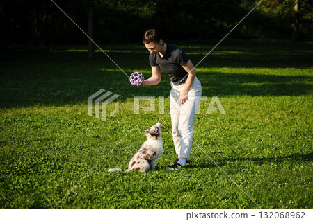 Woman trains red merle Border Collie puppy with purple toy on green grass, playful bonding and outdoor exercise 132068962