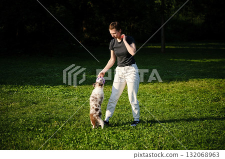 Young woman plays tug of war with red merle Border Collie puppy standing on grass, fun training and playful exercise 132068963