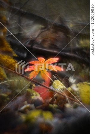 Autumn forest plants with soft focus and watercolor bokeh Autumn forest plants with soft focus and watercolor bokeh 132069050