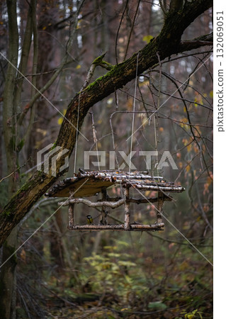 Bird feeder in the autumn forest with watercolor bokeh. Bird feeder in the autumn forest with watercolor bokeh. 132069051
