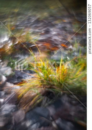Autumn forest plants with soft focus and watercolor bokeh 132069057