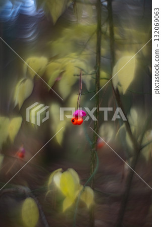 Autumn forest plants with soft focus and watercolor bokeh 132069063
