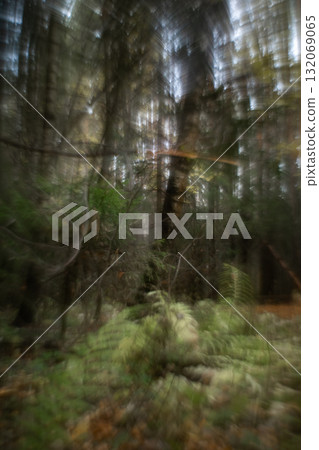 Autumn forest plants with soft focus and watercolor bokeh Autumn forest plants with soft focus and watercolor bokeh 132069065