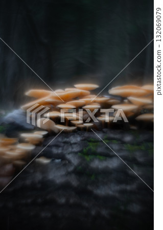 Autumn forest mushrooms with soft focus and watercolor bokeh Autumn forest mushrooms with soft focus and watercolor bokeh 132069079