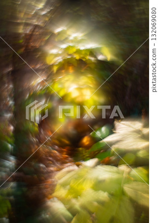Autumn forest plants with soft focus and watercolor bokeh Autumn forest plants with soft focus and watercolor bokeh 132069080