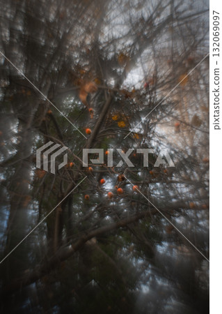 Autumn forest plants with soft focus and watercolor bokeh Autumn forest plants with soft focus and watercolor bokeh 132069097