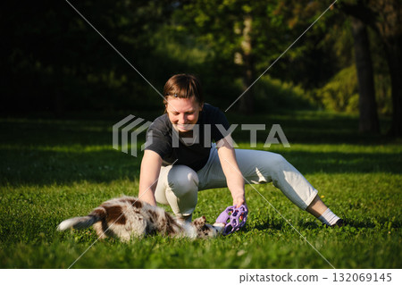 Young woman and red merle Border Collie puppy play tug of war with purple toy on grass, happy and playful bonding outdoors 132069145