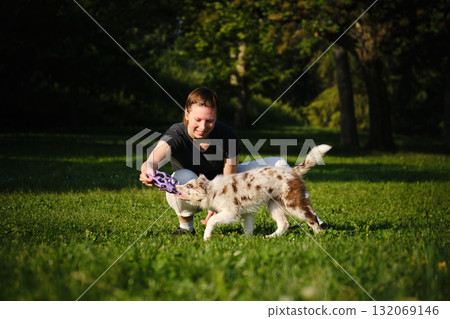 Young woman and red merle Border Collie puppy play tug of war with purple toy on grass, happy and playful bonding outdoors 132069146