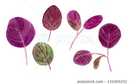 手繪水彩插圖的莧菜寶寶 手繪水彩插圖的莧菜寶寶 132069202