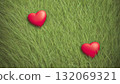 A heart rolling on the grass 132069321