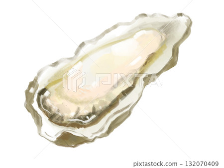 手繪水彩插圖的新鮮美味的生牡蠣 132070409