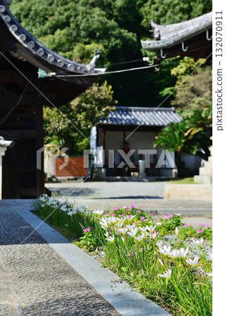 Takehara City, Hiroshima Prefecture, Takehara Townscape Preservation District, Saihoji Temple and Fumeikaku Takehara City, Hiroshima Prefecture, Takehara Townscape Preservation District, Saihoji Temple and Fumeikaku 132070911