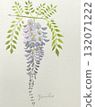 Wisteria flowers watercolor 132071222