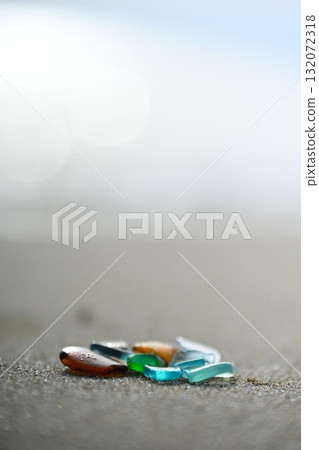 海草 海草 132072318