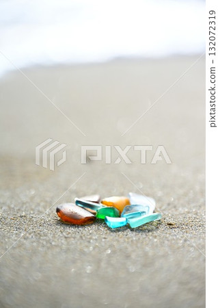 海草 海草 132072319