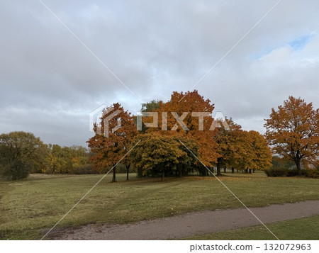 Autumn, Fall season vibes in an IR infrared photography style as an abstract pattern of nature background concept.  132072963