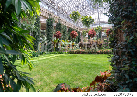 Lush indoor garden with a lawn and hanging plants in a conservatory Lush indoor garden with a lawn and hanging plants in a conservatory 132073372