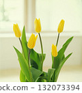 Yellow tulips blooming on the windowsill 132073394