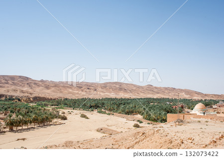 Aerial view of Tamerza palm grove, Tunisia 132073422