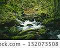 Oirase stream 132073508