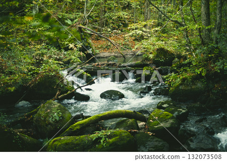 Oirase stream Oirase stream 132073508