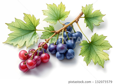 Colorful grape variety with leaves presenting a fresh, healthy snack option in vivid detail 132073579