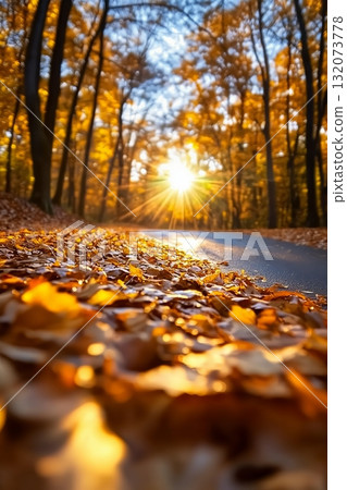 Forest revitalized by vibrant sunlight streaming through lush trees illustrates nature ability to renew and refresh sustainably. Natural renewal concept. 132073778
