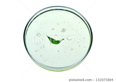 Dish detergent in a petri dish with a leaf. 132073804