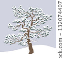 Nature Scene with Snow Covered Pine Tree 132074407