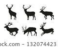 Deer_01 132074423