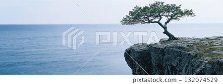 Minimalist landscape with single tree on cliff over tranquil sea Minimalist landscape with single tree on cliff over tranquil sea 132074529