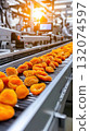 Production line with dried apricots in food manufacturing plant 132074597