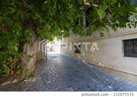 a typical alley in the historic center of Baku, Azerbaijan 132075533