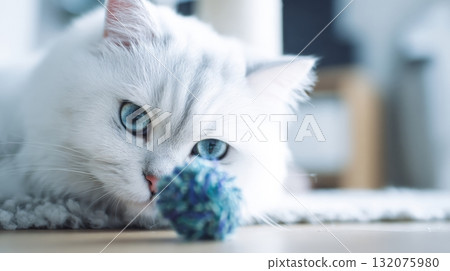 Close-up portrait of a fluffy white cat with striking blue eyes Close-up portrait of a fluffy white cat with striking blue eyes 132075980