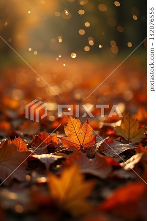 Autumn leaves, fallen leaves landscape, morning dew Autumn leaves, fallen leaves landscape, morning dew 132076556